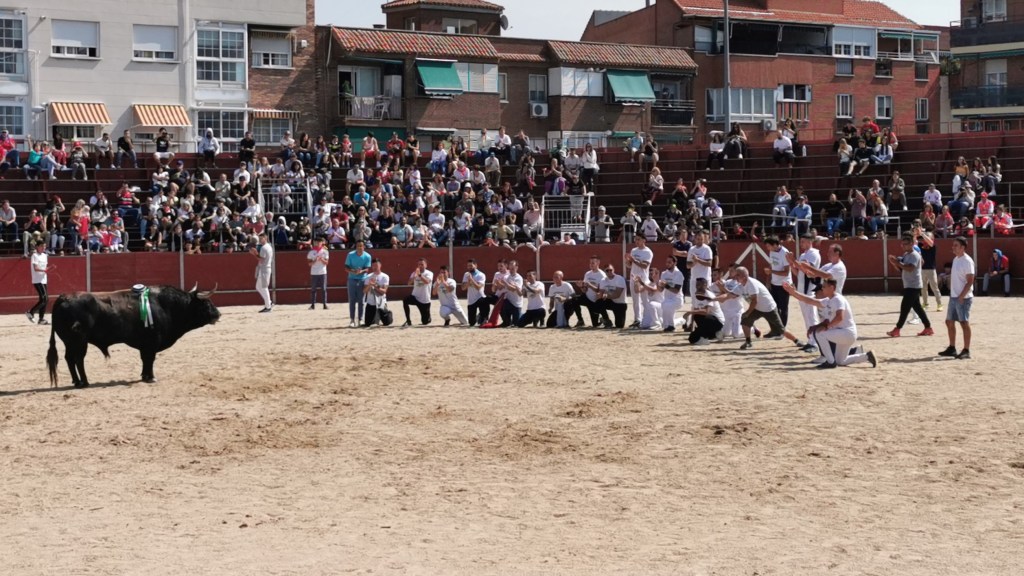 ENCIERRO Y CAPEA DEL Ⅰ TORO DEL CRISTO DE&nbsp;MAJADAHONDA